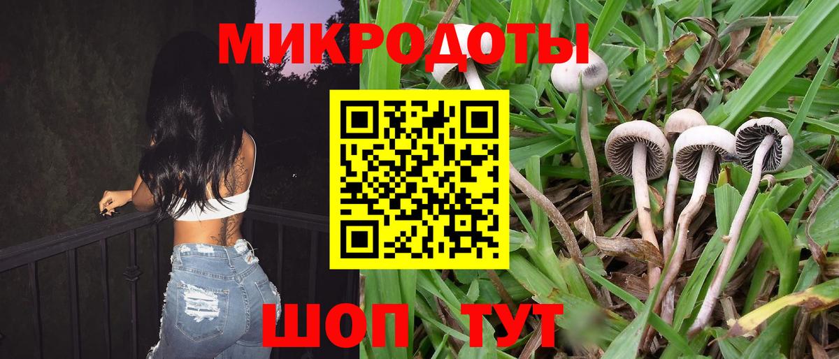 Псилоцибиновые грибы прущие грибы Свободный