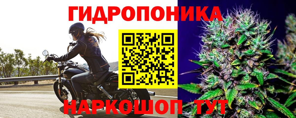 Марихуана марихуана  Бошки Шишки LSD WEED  Свободный  Шишки марихуана Amnesia  Бошки марихуана THC 21%  Вход с VPN 